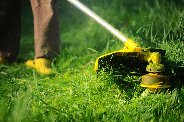 "Man mowing the grass, mower close up." gimagreen piscina header